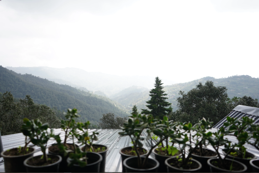 Best Hill Resort in Uttarakhand